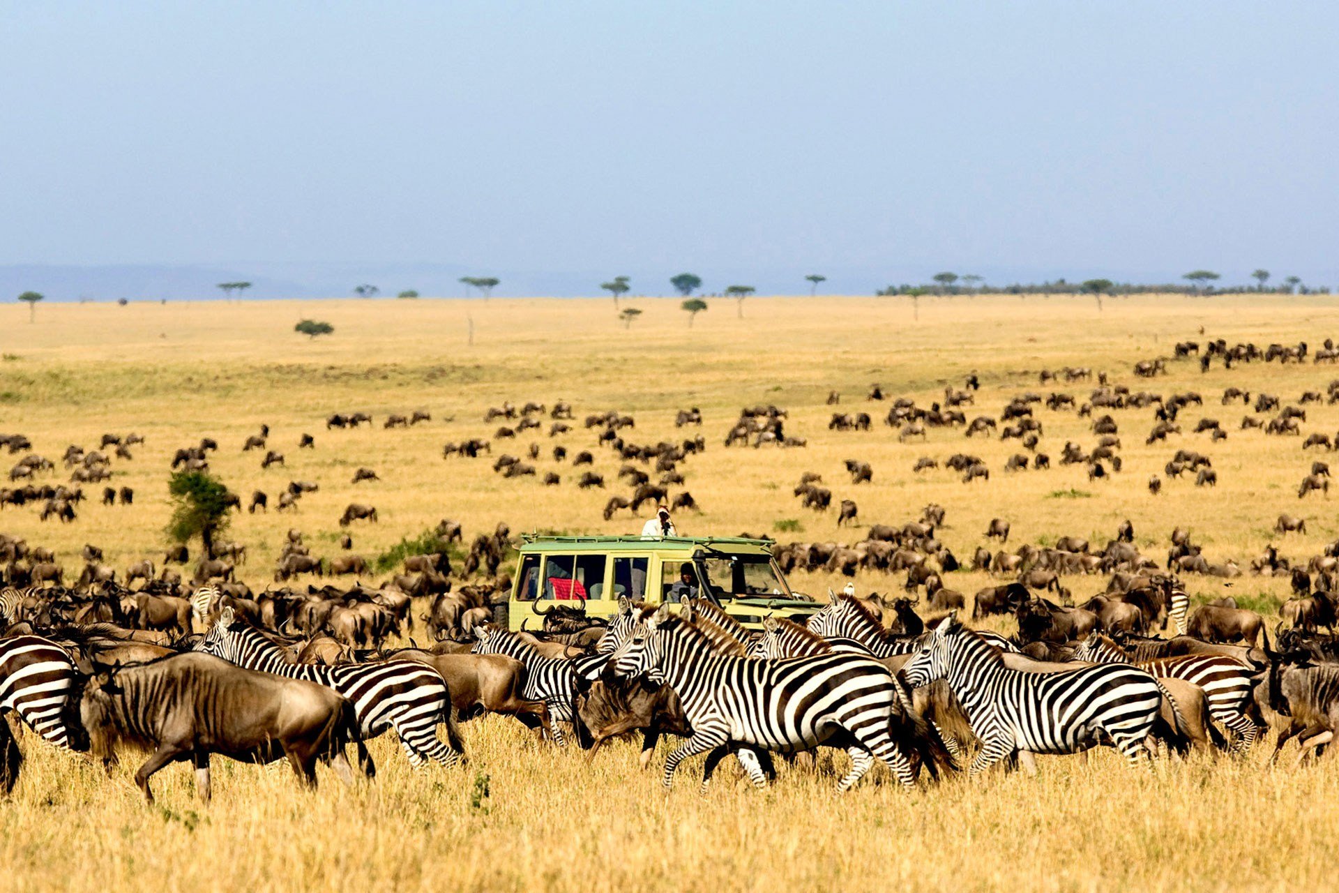 3 Days - Kidepo Valley National Park