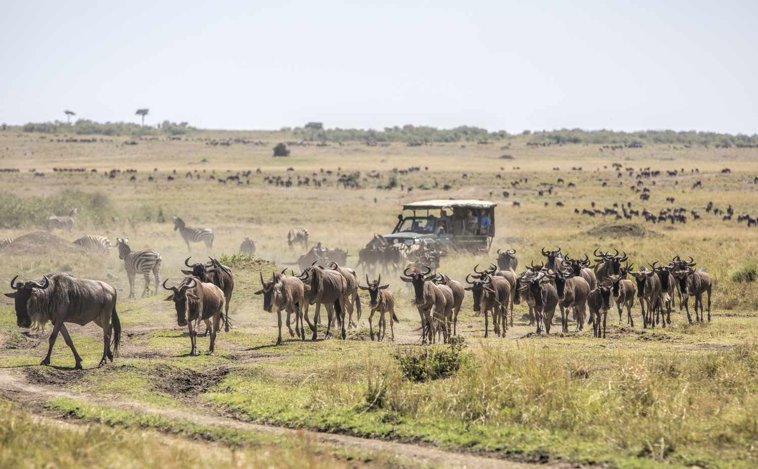 4 Days Maasai Mara + Balloon Safari