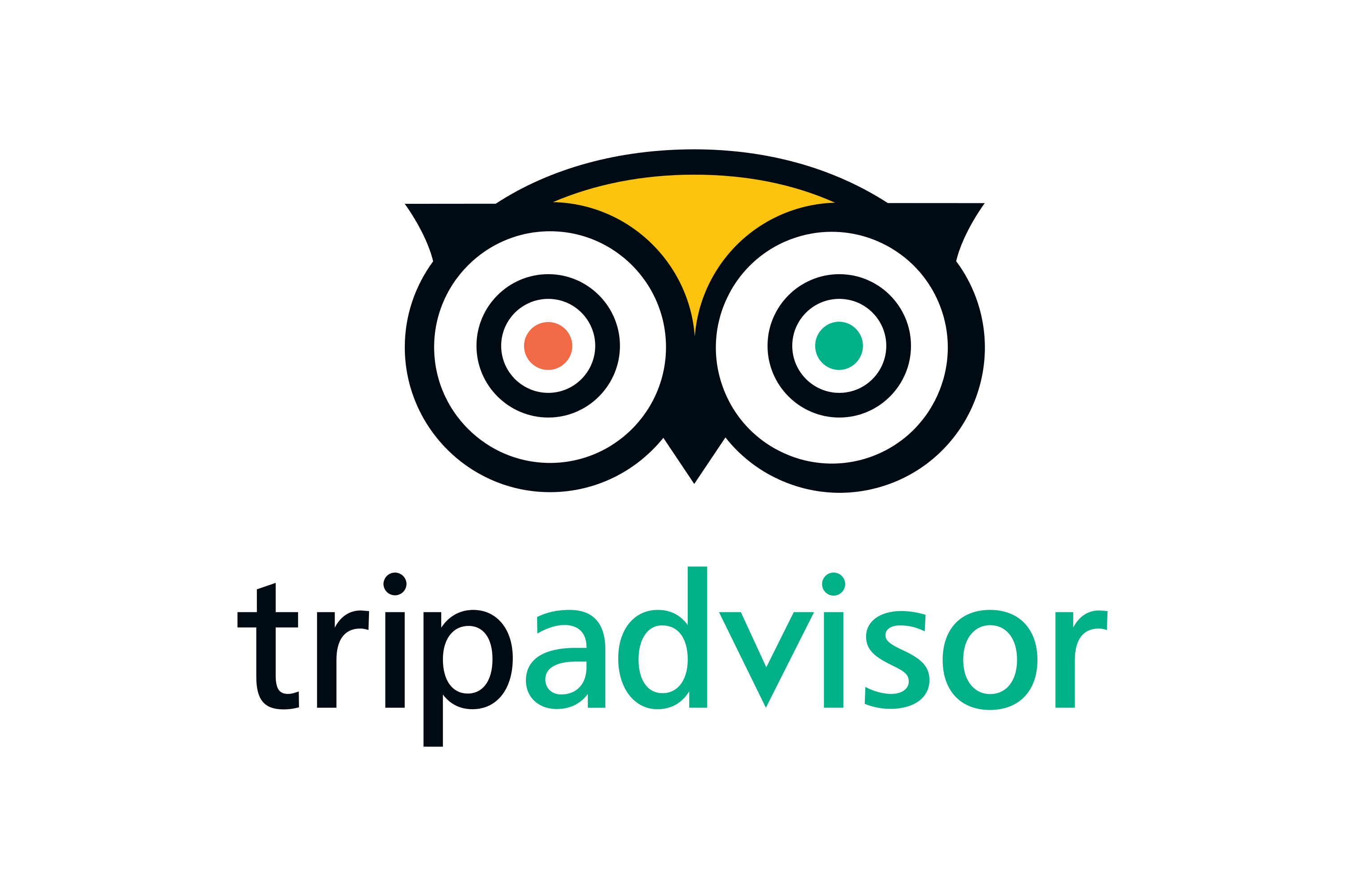 TripAdvisor Logo